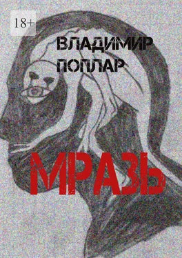 Владимир Поплар Мразь обложка книги