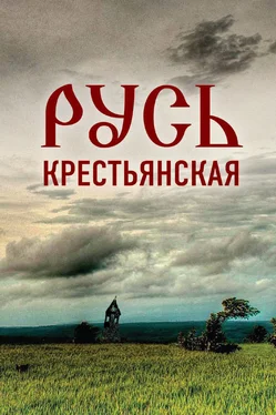 Николай Мальцев Русь крестьянская. Духовное исследование обложка книги