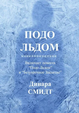 Динара Смидт Подо льдом обложка книги