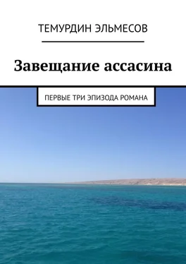 Темурдин Эльмесов Завещание ассасина. Первые три эпизода романа обложка книги