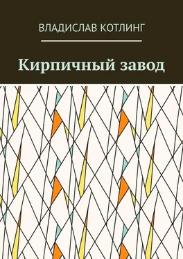 Владислав Котлинг Кирпичный завод обложка книги