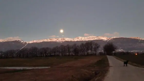 07h43 am ПолноЛУНИЕ 07h45 am А вдоль дороги стражи кукурузные стоят И - фото 60
