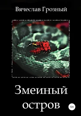 Вячеслав Грозный Змеиный остров обложка книги