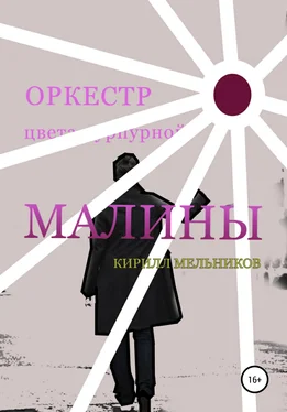 Кирилл Мельников Оркестр цвета пурпурной малины обложка книги