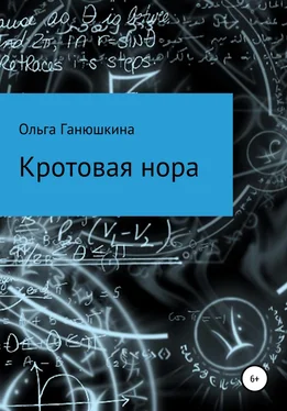 Ольга Ганюшкина Кротовая нора обложка книги