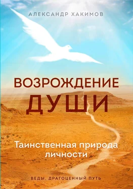 Александр Хакимов Возрождение души. Таинственная природа личности обложка книги