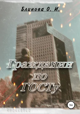 Ольга Блинова Гражданин по ГОСТу обложка книги