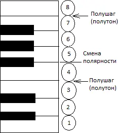 Рис 5 Октава на клавиатуре Многие люди в наше время всю жизнь ходят по - фото 5