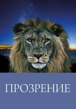 Лев Шеромов Прозрение обложка книги