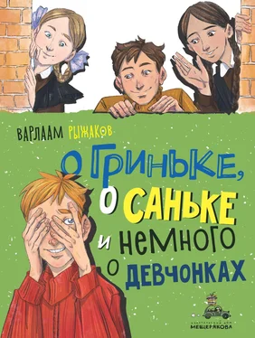 Варлаам Рыжаков О Гриньке, о Саньке и немного о девчонках обложка книги