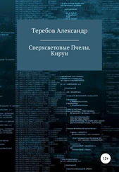 Александра Теребова - Сверхсветовые пчелы 5. Кирун