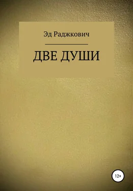 Эд Раджкович Две души обложка книги