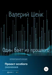 Валерий Шенк - Один байт из прошлого