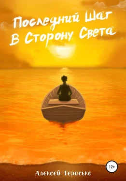 Алексей Герасько Последний Шаг в Сторону Света обложка книги