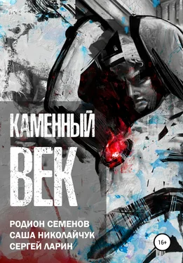 Родион Семенов Каменный век обложка книги