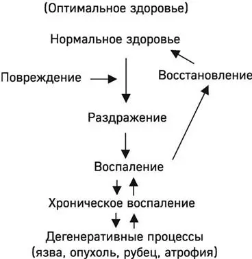 Рис 1 Натуропатическая модель исцеления По Zeff J 2014 Чем же - фото 3