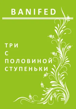 BANIFED Три с половиной ступеньки обложка книги