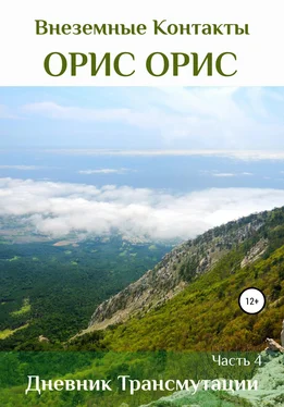 Орис Орис Дневник Трансмутации. Часть 4 обложка книги