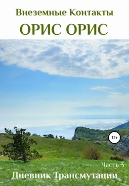 Орис Орис Дневник Трансмутации. Часть 3 обложка книги