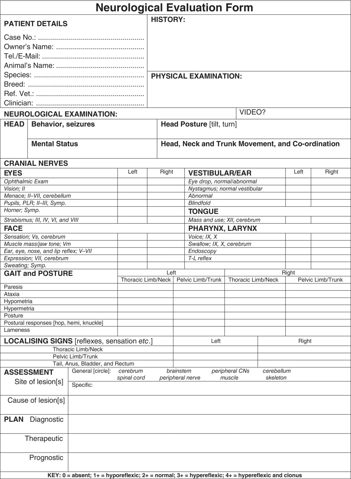 Figure 21 Example of a neurological examination form of large and small - фото 14