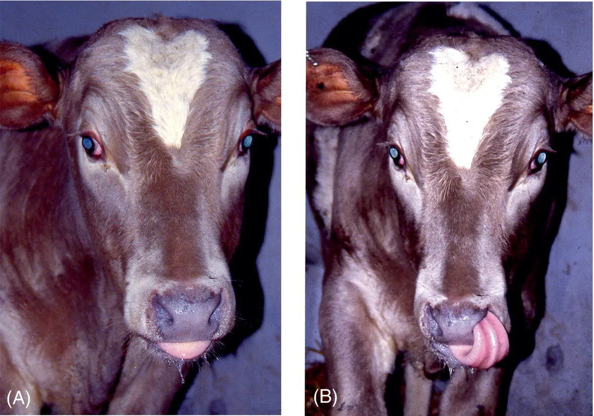 Figure 124 In the absence of other neurologic abnormalities or other evidence - фото 107