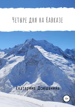 Екатерина Докшанина Четыре дня на Кавказе обложка книги