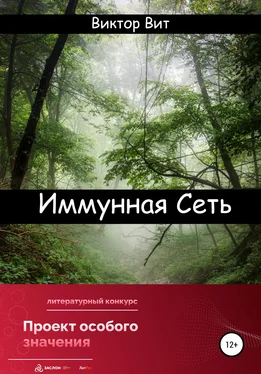 Виктор Вит Иммунная сеть обложка книги
