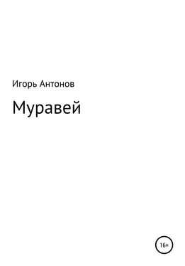 Игорь Антонов Муравей обложка книги