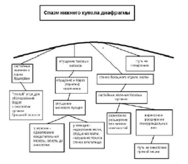 Признаться за много лет работы по капиллярной диагностике я впервые - фото 3