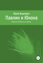 Юрий Жданович - Павлин и Юнона