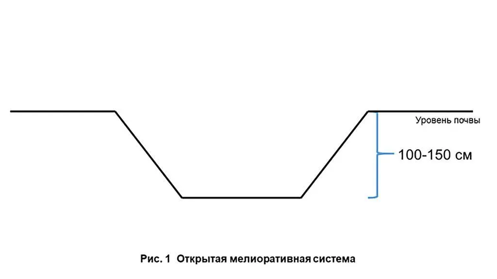 Существует и биологический способ борьбы с излишней влагой на участке В - фото 1