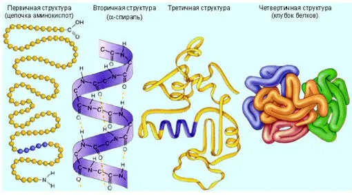 В человеческом организме постоянно происходят сотни химических реакций Простой - фото 7