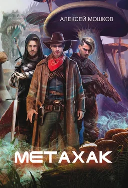 Алексей Мошков Метахак обложка книги