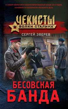 Сергей Зверев Бесовская банда обложка книги