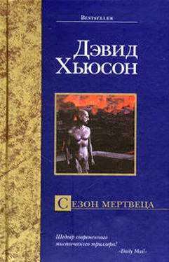 Дэвид Хьюсон Сезон мертвеца обложка книги