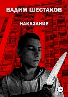 Вадим Шестаков Наказание обложка книги