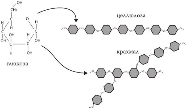 Проблема этого механизма в том что его иногда заклинивает обильная еда - фото 1
