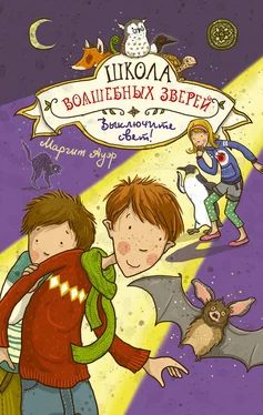 Маргит Ауэр Выключите свет! обложка книги