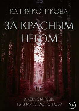 Юлия Котикова За красным небом обложка книги