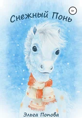 Эльга Попова - Снежный Понь
