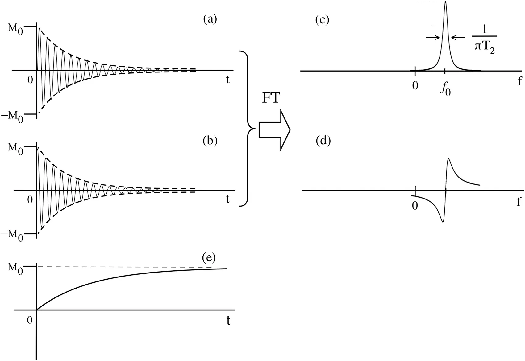 Figure 214 a and b The timedomain NMR signal in the transverse plane the - фото 61