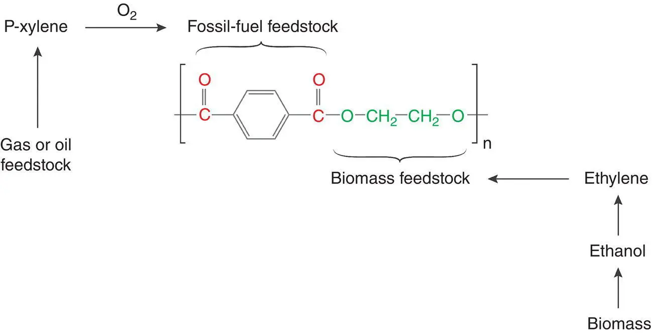 Figure 18 Hybrid PET with 23 of biobased content a fifth of carbon atoms - фото 9