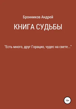 Андрей Бронников Книга судьбы обложка книги
