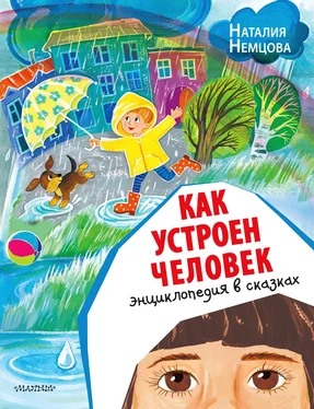 Наталия Немцова Как устроен человек. Энциклопедия в сказках обложка книги