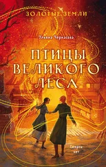 Ульяна Черкасова - Золотые земли. Птицы Великого леса