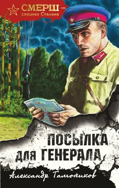 Александр Тамоников Посылка для генерала обложка книги