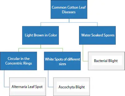 Figure 15 Cotton leaf disease using DT algorithm v Association Algorithm - фото 6