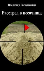 Владимир Вычугжанин - Расстрел в песочнице (сборник)