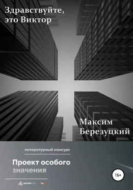 Максим Березуцкий Здравствуйте, это Виктор обложка книги