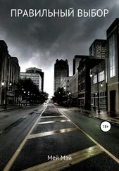 Мей Мэй - Правильный выбор